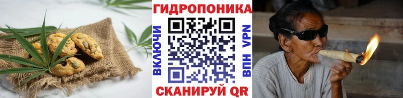 Купить где  Ардатов  Canna-Cookies конопля 
