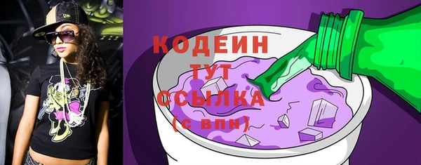 индика Инта
