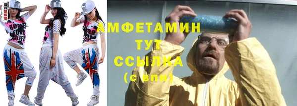индика Инта