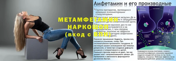 индика Инта