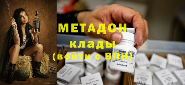 индика Инта