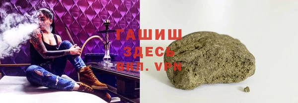 индика Инта
