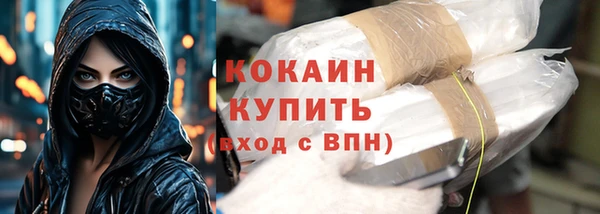 индика Инта