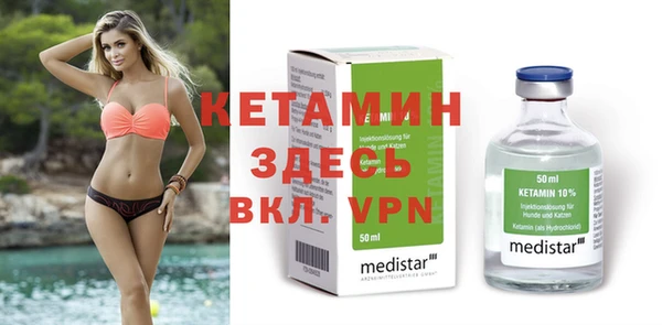 индика Инта
