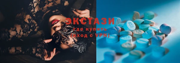 индика Инта