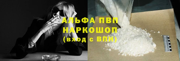 индика Инта