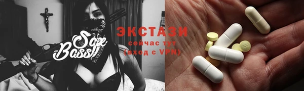 индика Инта