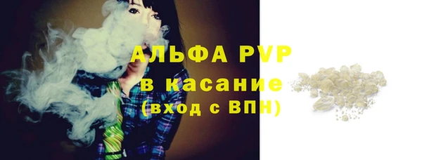 индика Инта