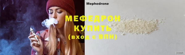 индика Инта