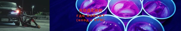 индика Инта