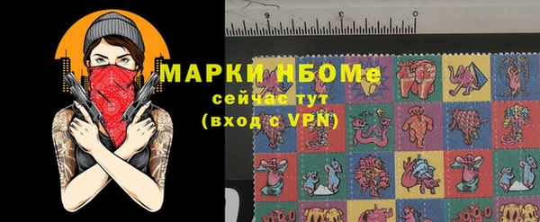 индика Инта