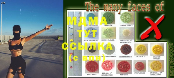 индика Инта