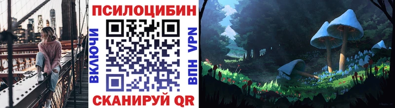 Купить  Ардатов  Галлюциногенные грибы MAGIC MUSHROOMS 